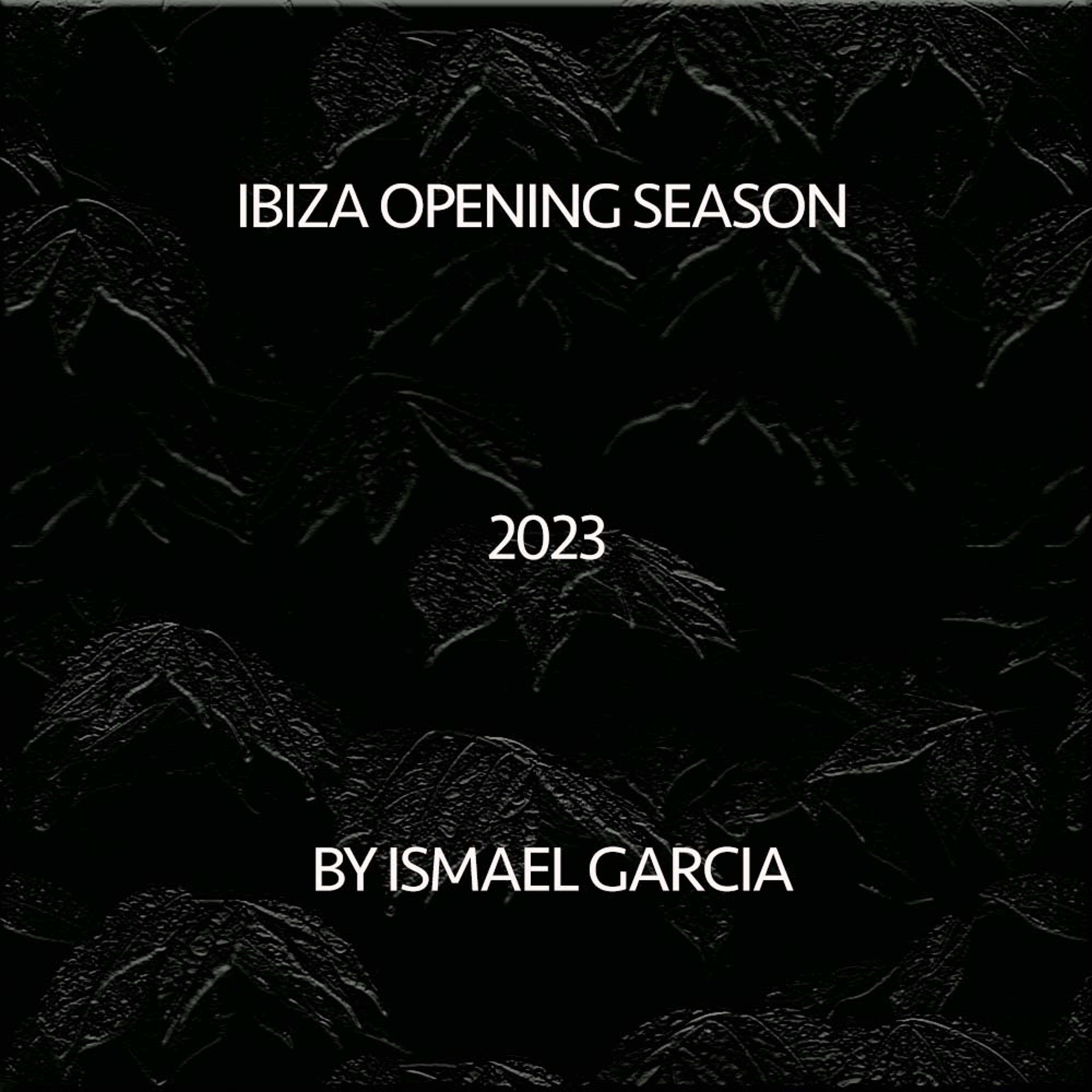 Mr.Ismael Garcia Mixes