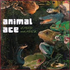 Crocodile Dub (Original Mix)