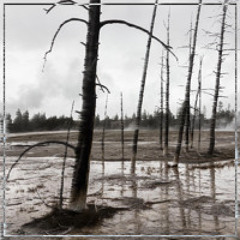 remnants