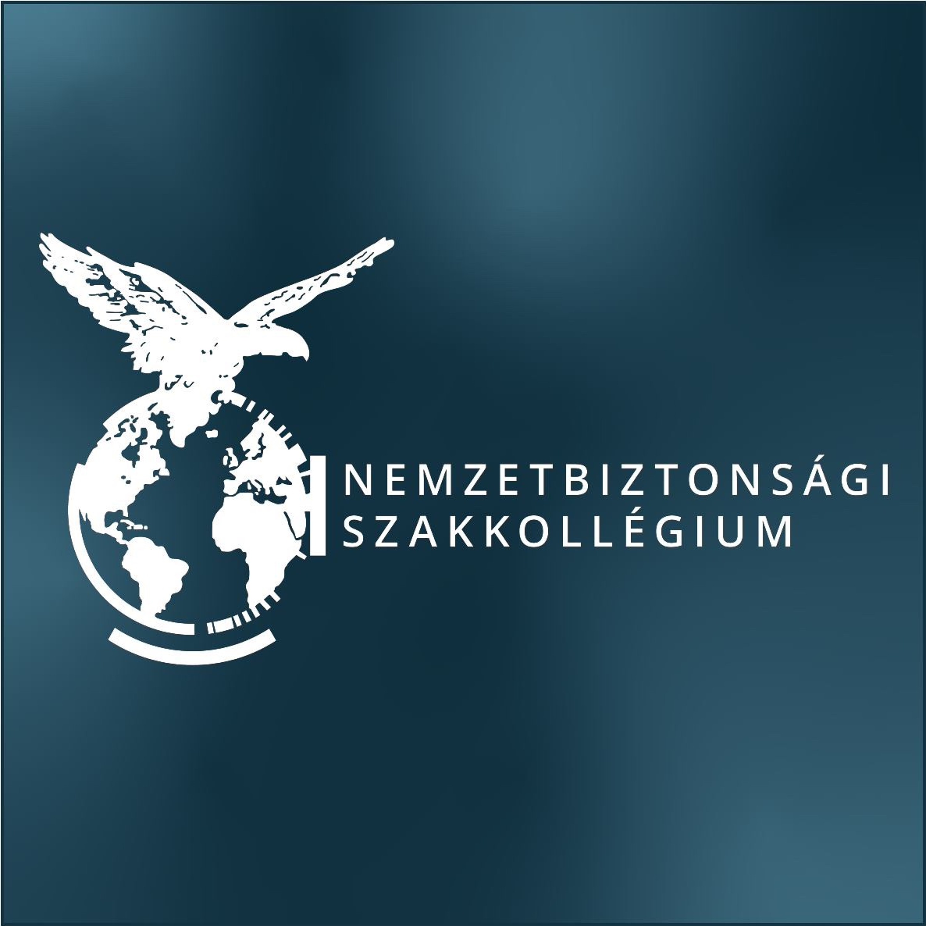 Magyar Titkosszolgálat A Diktaútrában