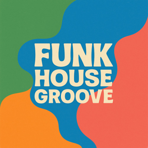 CCSIDES - FUNK HOUSE GROOVE
