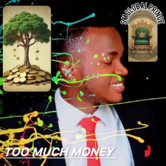 TOO MUCH MONEY