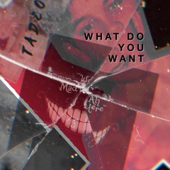 What Do You Want -We're All Mad Here