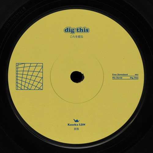 Nic David - Dig This (ANALOG MASTER)