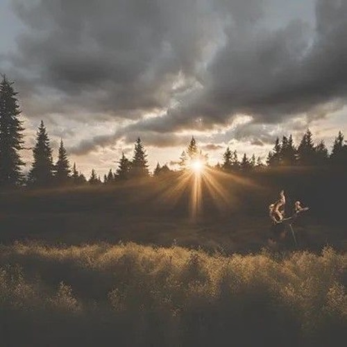 Whispers of the Endless Night.mp3