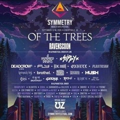 Symmetry Festival DJ Competition Mix