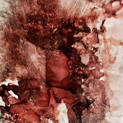 (2sick2cry mixx) fuck_parties