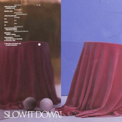 SLOW IT DOWN (with Miranda Joan)