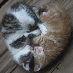 get to know you (prod.shvrs)