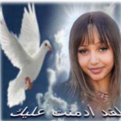 HEAVENSMILEPROJECTF