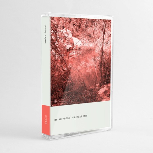 Swamp Tapes 010 - Subterean LP (snippets)