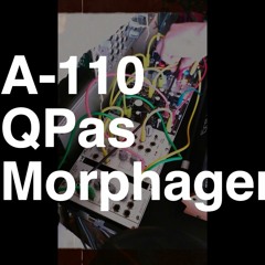 A-110//QPas//Morphagene