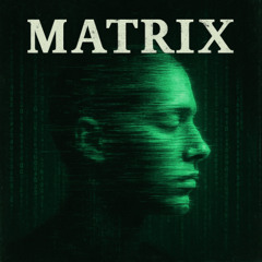 ZnX-MATRIX