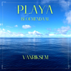 Playa Bloemendaal 2025