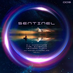 D.J. MacIntyre, Leandro Murua, & Axel Zambrano - Sentinel (Original Mix)