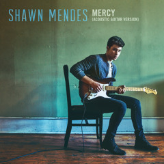 Shawn Mendes - Mercy