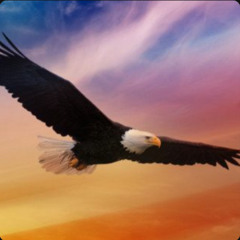 Eagles Wings