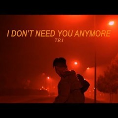 I Don't Need You Anymore - T.R.I