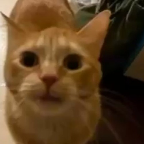 Stream six hundred million thousand w/ cowrangler456 prod