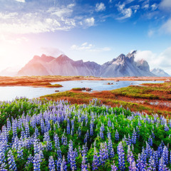 What a Wonderful World - Segment 2