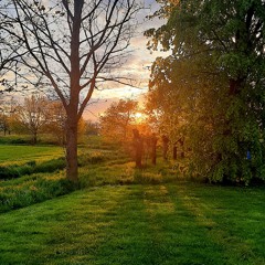 My Almost Lover (Poetry)