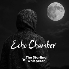 Echo Chamber..