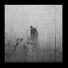 Where Tf Is The Blow