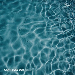 laikd - Can't Lose You
