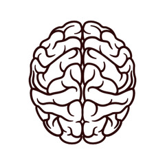 Zombies In Your Head