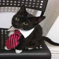 The Paradox - Ms. Lauren