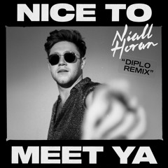 Nice To Meet Ya (Diplo Remix)