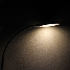 In the Shadows