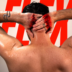 FLEX - Michael T Ogilvie