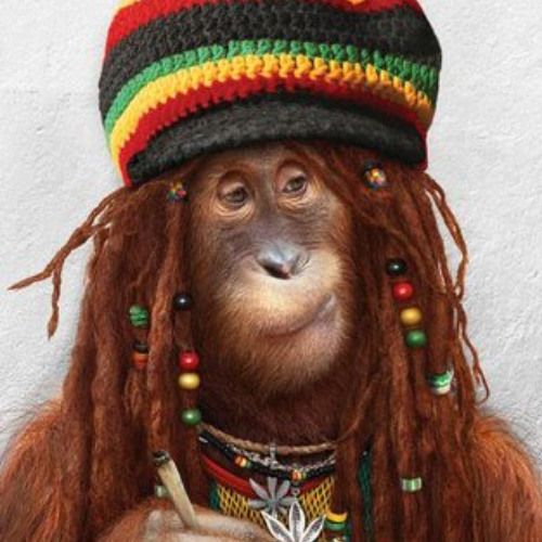 monkeysession n.9 ADHD