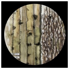 PREMIERE: Emiliano Martini - Tree Bark - (Original Mix) [CDP REC]