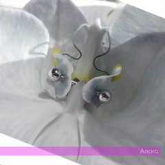 Anora