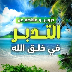 دروس و مقاطع عن " التدبر في خلق الله "
