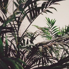 Dansaert - Free [Unreleased]