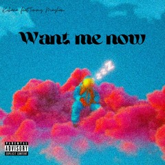 Want me now(feat. Tommy Mayham)