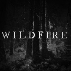 Wildfire - Feat. Austin Metreyeon