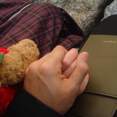 Bickle - Apocalypse Love Song (Cover)