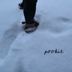 Pookie (fresh snow demo)