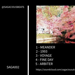 Sagacious - 1993