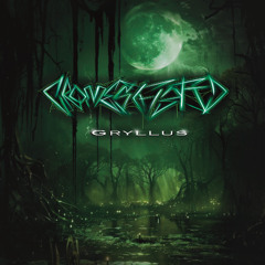 Gryllus