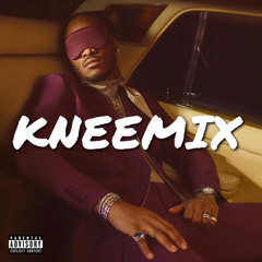 Puffin on Zooties - Kneemix