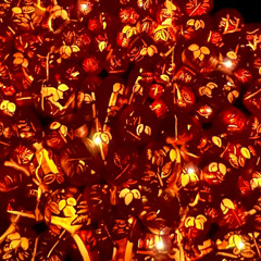 214 (solemn multiverse)