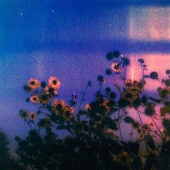 flowers.loop