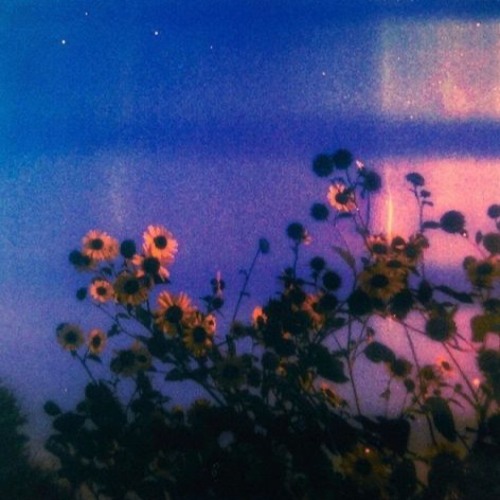 flowers.loop