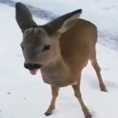 on verra apres feat stainn