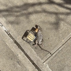 Hershey Squirts x SALMON MAN - Oh Well